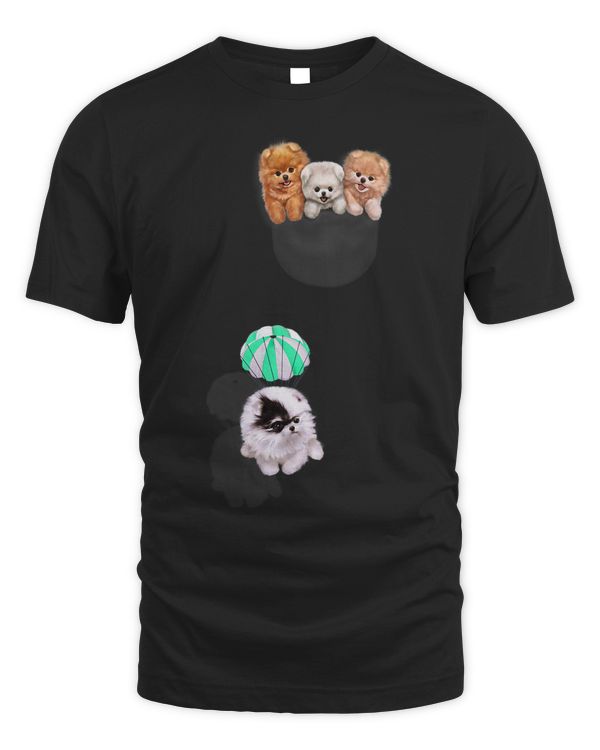 Cute Tea Cup Pomeranian Puppy Dog in Pocket