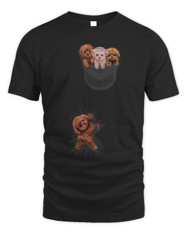 Cute Tea Cup Poodle Puppy Dog Playing in Pocket