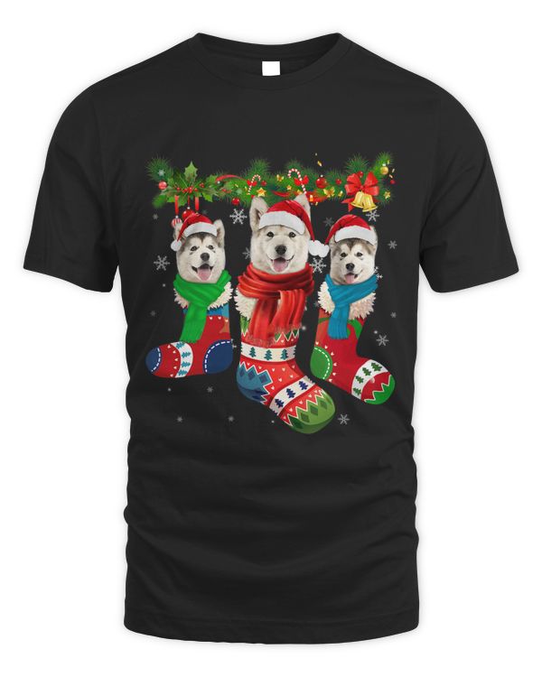 Three Alaskan Malamutes In Christmas Socks