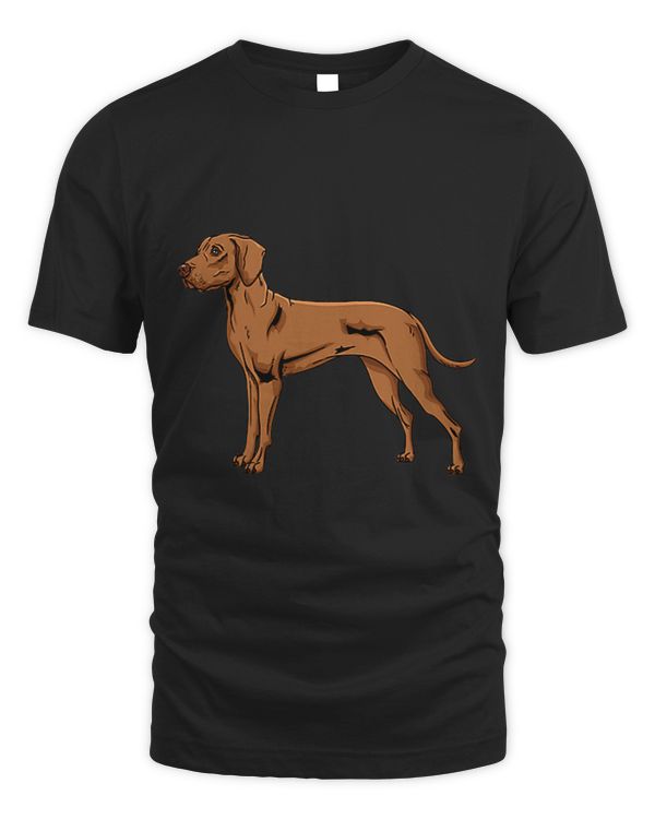 Vizsla 33