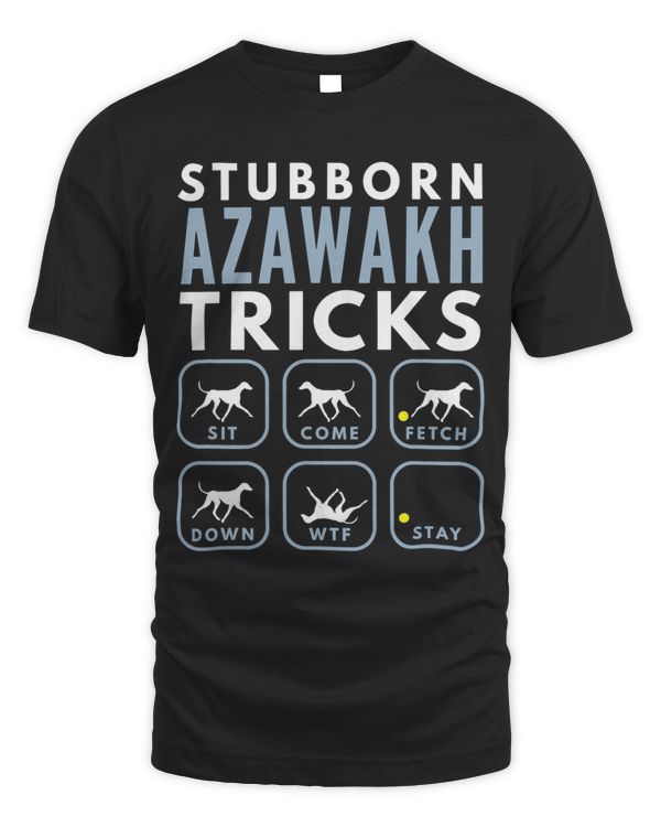 Stubborn Tuareg Sloughi Tricks Dog Training