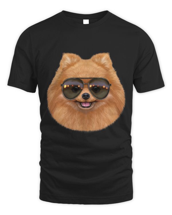 Pomeranian Dog Wearing Swag Aviator Sunglass