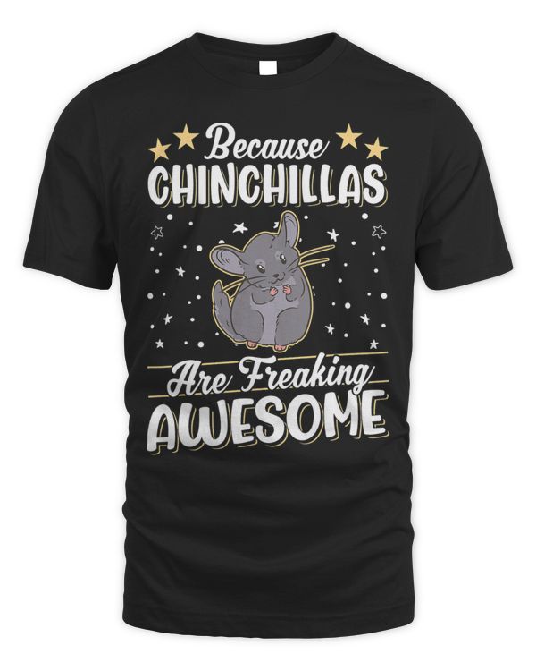 Because Chinchillas are freaking awesome Chinchilla 1