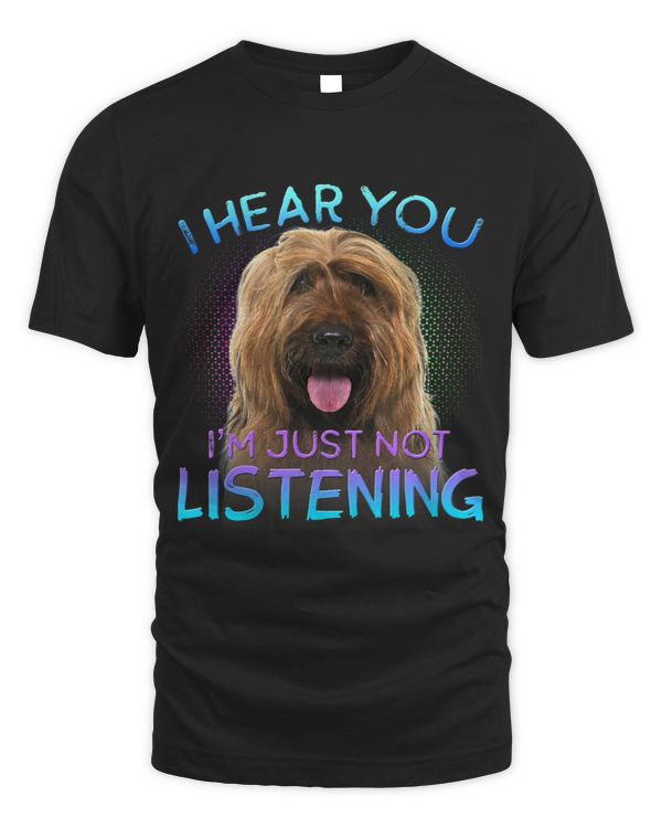 Briard I hear you not listening 6