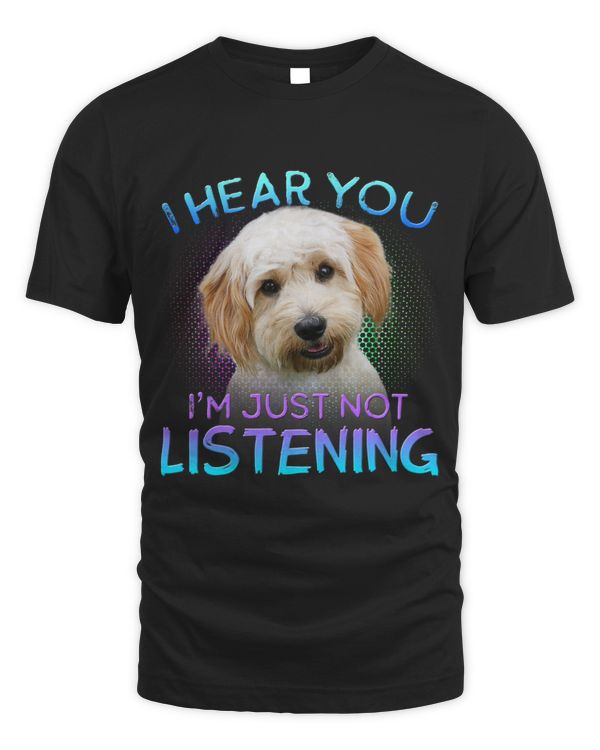 Cavachon I hear you not listening