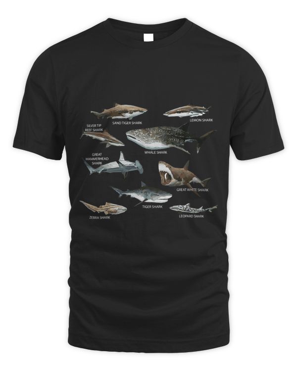 Educational Shark Types Faces Sea Mammals Marine Biologist