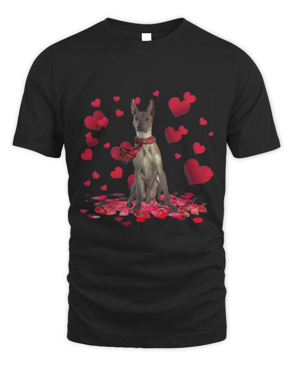 Cute Xoloitzcuintli Hearts Dog Scarf Valentines Day