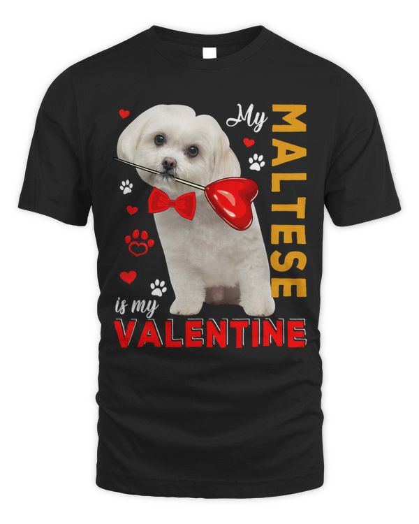My Maltese Is My Valentine Cute Dog Holding Heart Lover 48