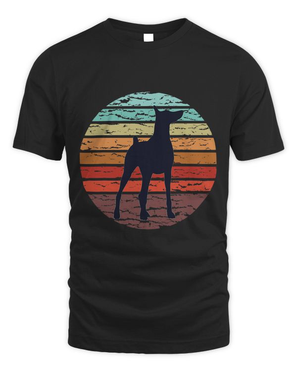 Dobermann Dog Breed 6537