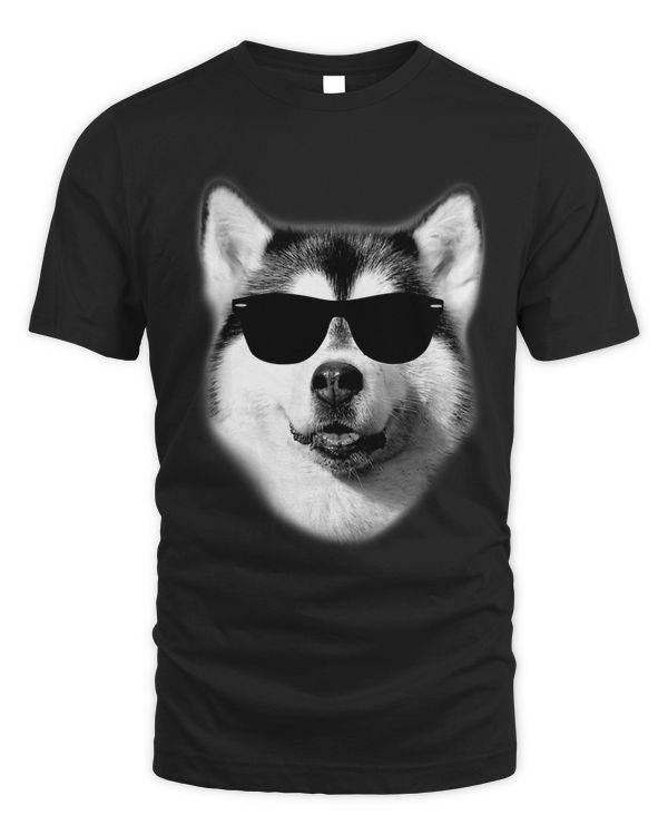 Cool Siberian Husky with Sunglasses