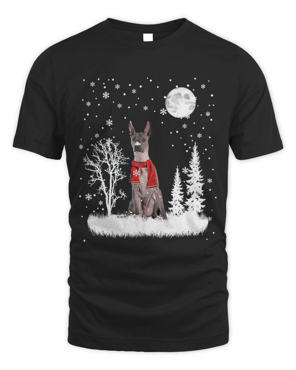 Xoloitzcuintli Under Moonlight Snow Christmas Pajama 304