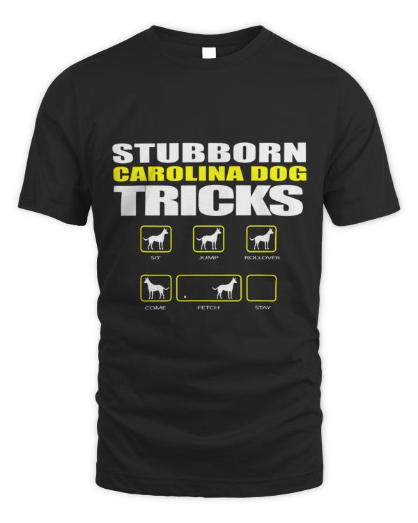 Stubborn Carolina Dog Tricks Funny Dog