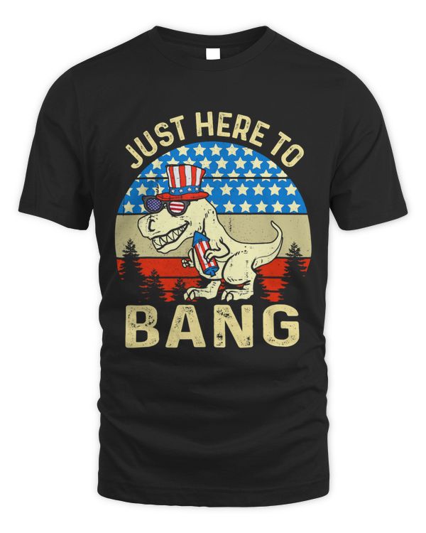 Funny Just Here To Bang 4th Of July Tee Fireworks Director
