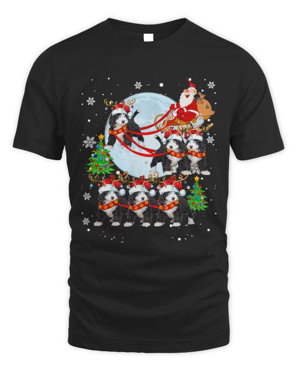 Santa Riding Reindeer Bernedoodle Sleigh Christmas Santa Dog