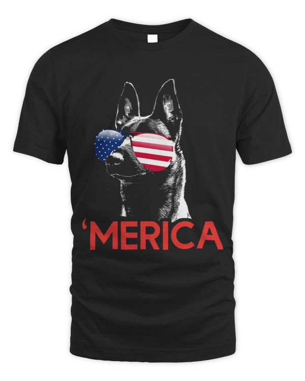 Merica Belgian Malinois American Flag 4th of July 415