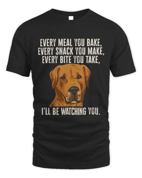 Rhodesian Ridgeback Dog 11