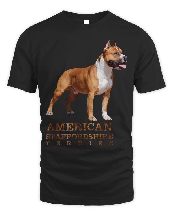 Dog American Staffordshire TerrierAmstaff 46 paw