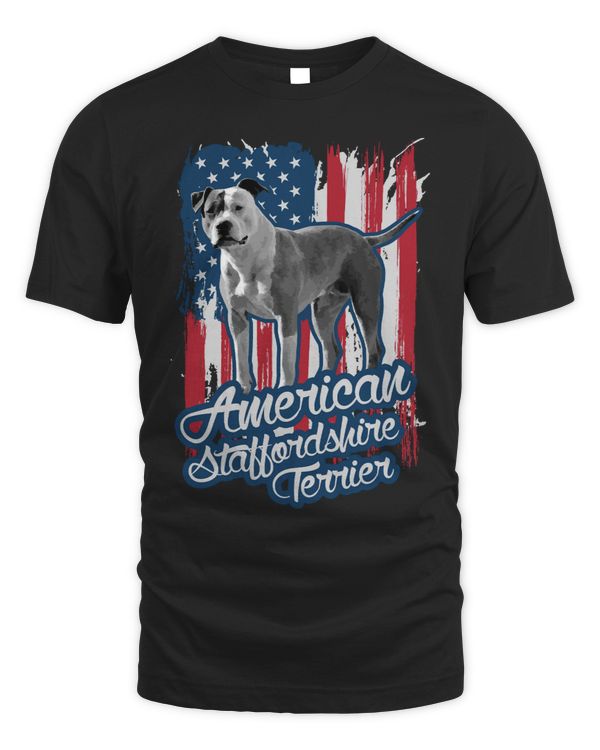 Dog American Staffordshire TerrierAmstaff 47 paw