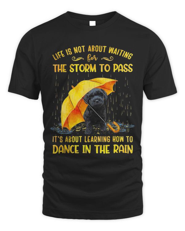 It s About Learning How To Dance In The Rain Schnoodle