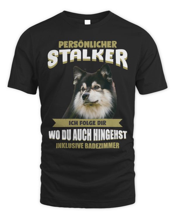 Dog Finnish LapphundFinnish Lapphund Dog puppy pet paw