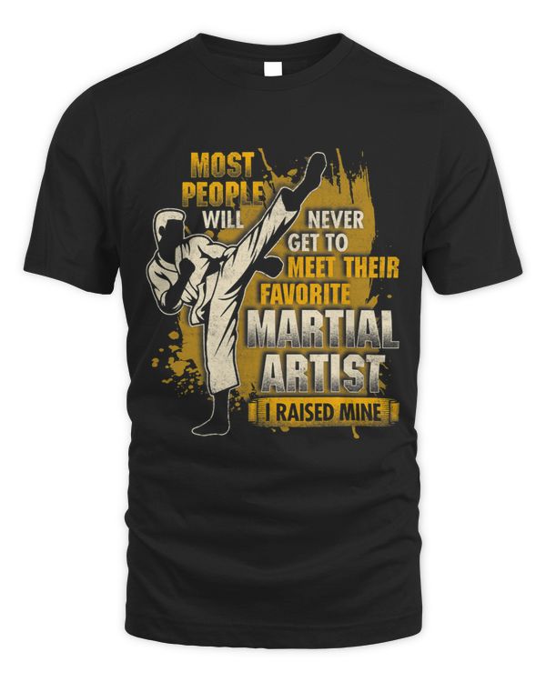 Karate Taekwondo I Raised My Martial Artist