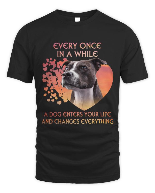 Every Once In A While A Staffordshire Bull Terrier Enters