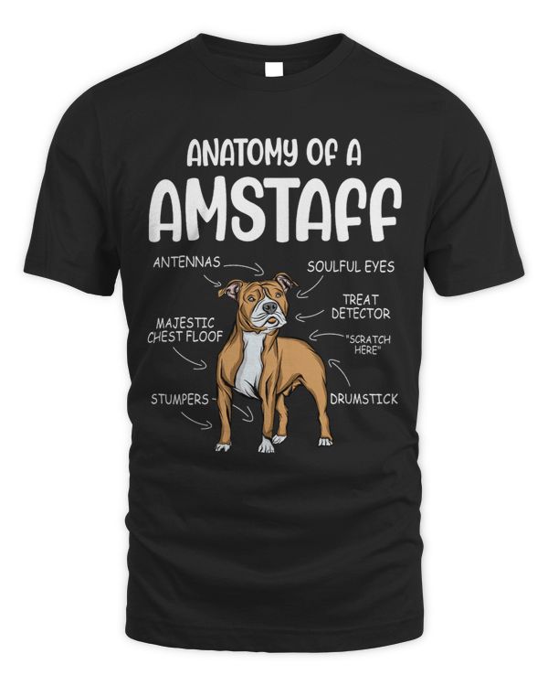 Anatomy of american staffordshire terrier amstaff 3