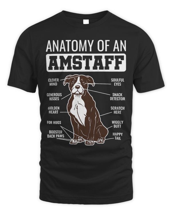 Anatomy Of An Amstaff American Staffordshire Terrier