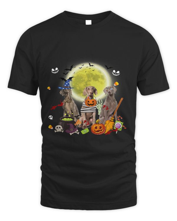 Three Weimaraner Dogs Witch Scary Mummy Halloween 239