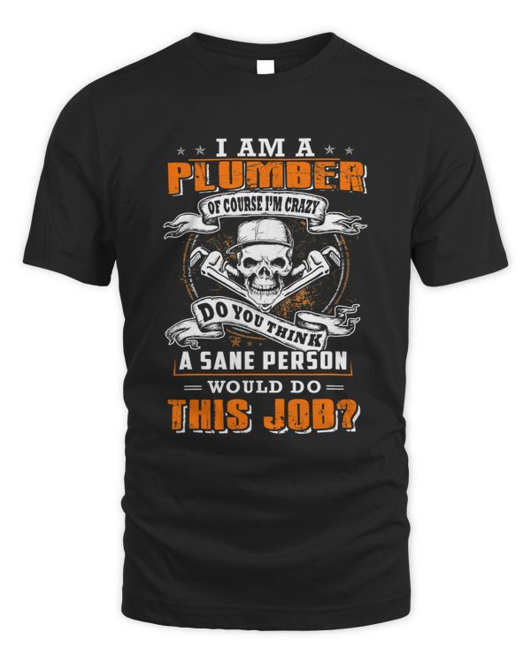 Im a plumber and im crazy would do this job 224