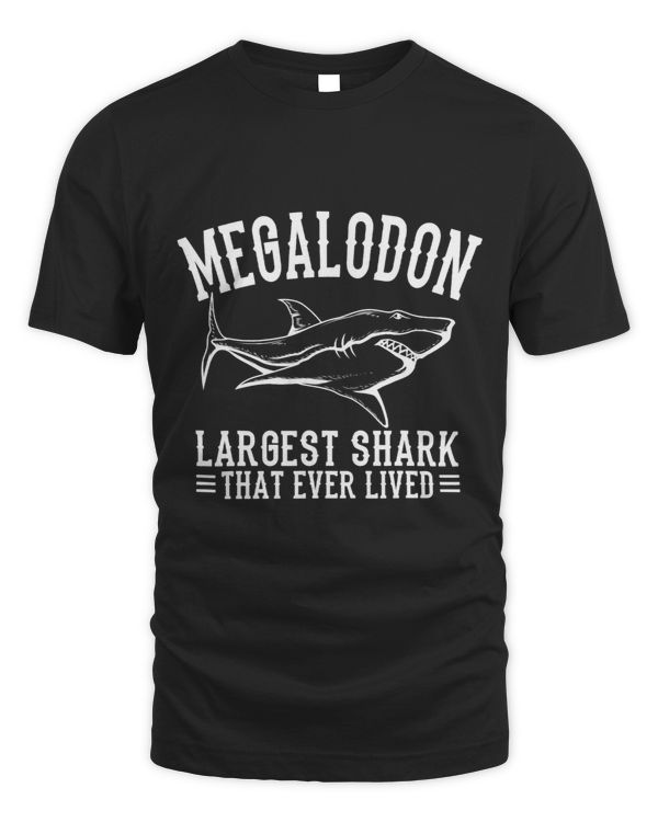 Megalodon Largest Shark That Ever Lived