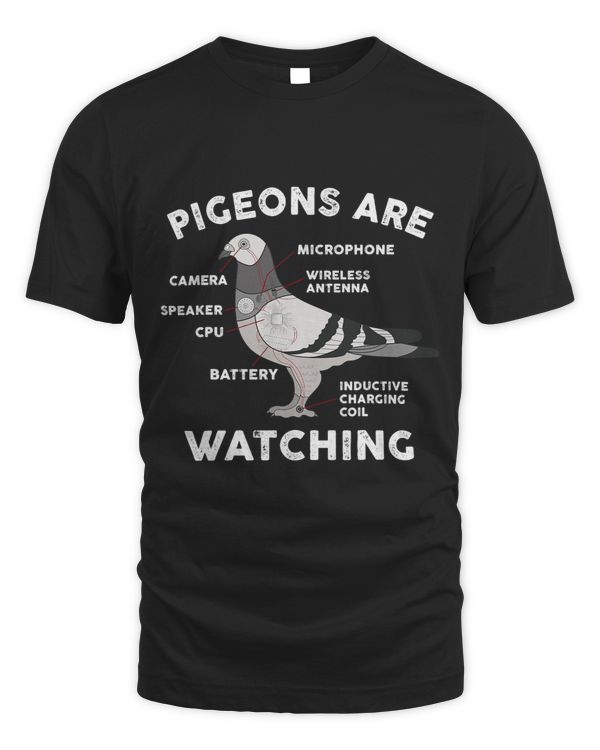 Funny Pigeon Anatomy Birds Flies Spies Pigeons Are Watching