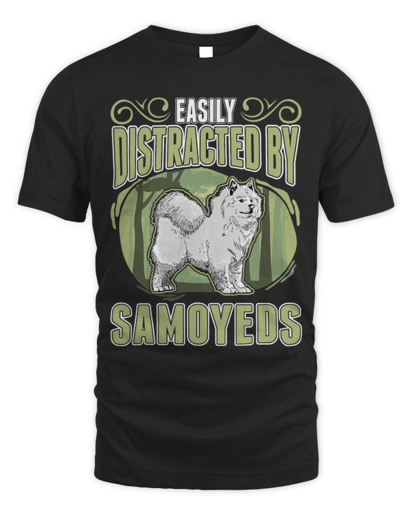 Easily distracted by Samoyeds