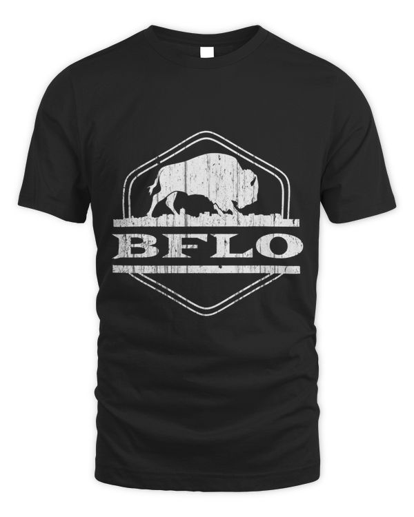 716 Area Code Buffalo New York BFLO WNY 3