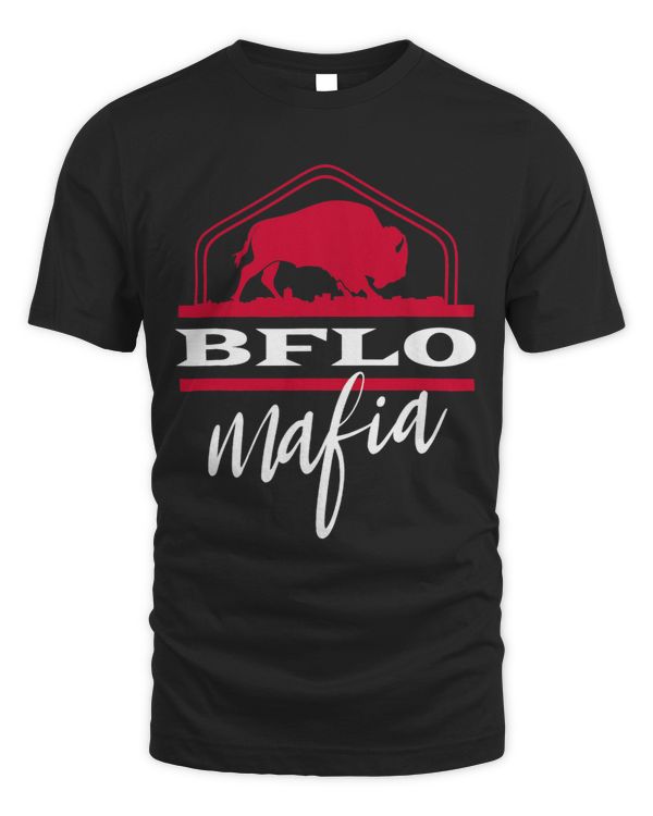 716 Area Code Buffalo New York BFLO WNY
