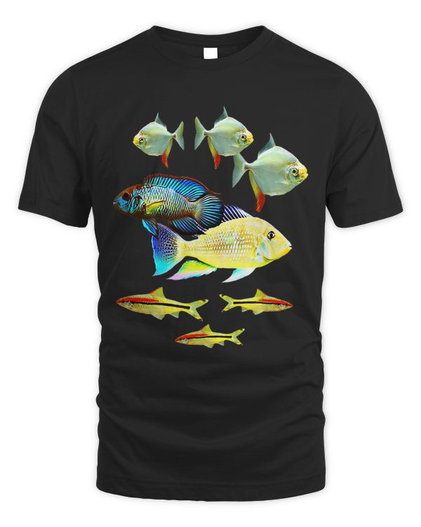 Aquarium Fish Collection Geophagus Denison Barbs Blue Acara