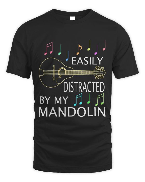 Bluegrass Folk Music Mandolin Player Musician