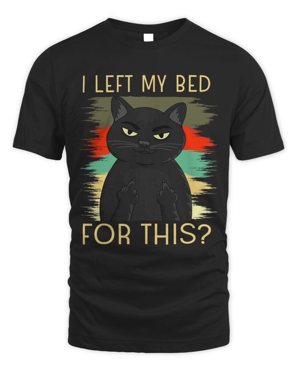 I Left My Bed For This Black Cat Is Angry