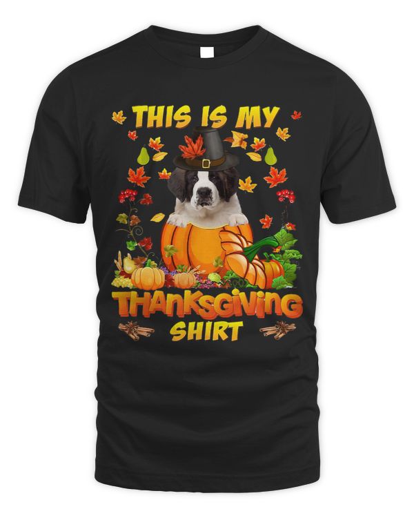 Saint Bernard Dog In Pumpkin This Is My Thanksgiving