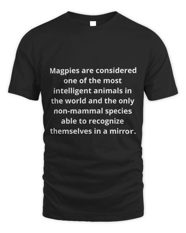 Fun Fact about magpies birds intelligent animals