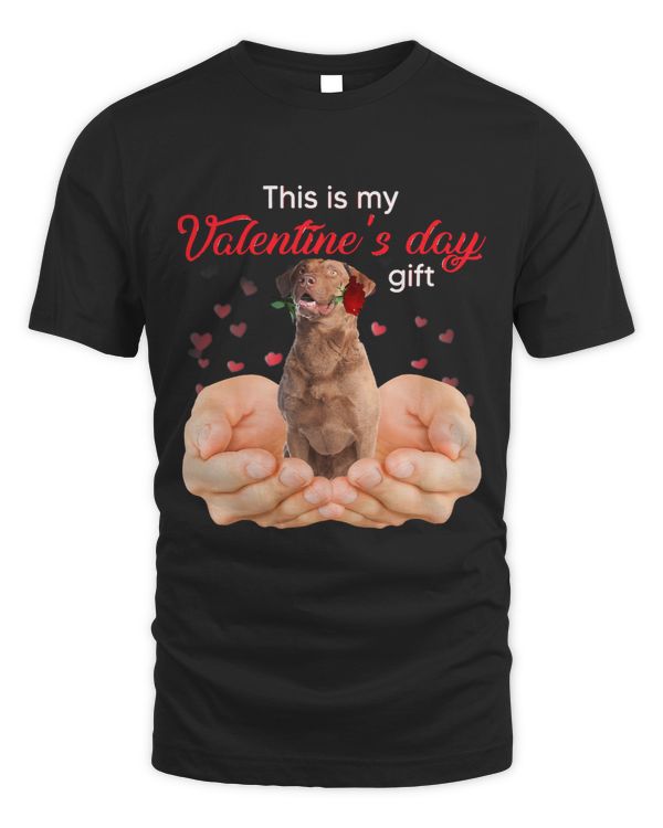 Chesapeake Bay Retriever This Is My Valentines Day Pajama