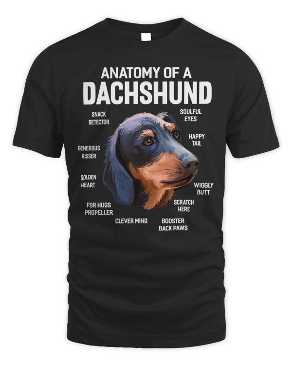 Wiener 365 Anatomy of a Funny 281 Dachshund Doxie