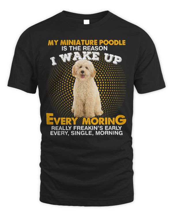 Poodles My MINIATURE POODLE Is Reason I Wake Up Every Morning 265 Poodle dog