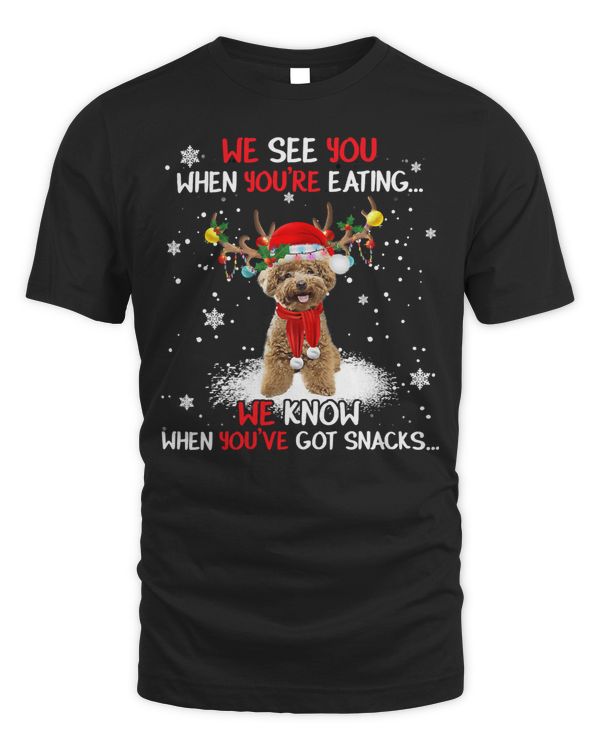 Poodles Santa Poodle Reindeer Light Christmas Pajama 434 Poodle dog