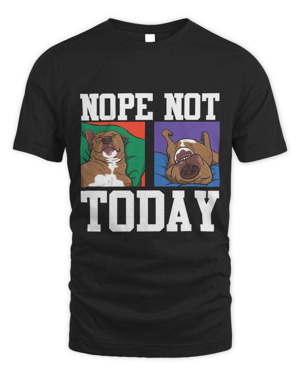 Bully Nope Not Today For Men Women Pitbull Lover Shirt Pitbull Dog