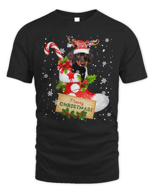 Wiener Merry Christmas Xmas Lights Santa Reindeer Dachshund In Sock 109 Dachshund Doxie