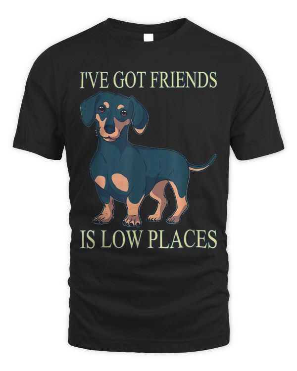 Wiener Ive got Friends is low Places Dachshund Wiener 1 Dachshund Doxie