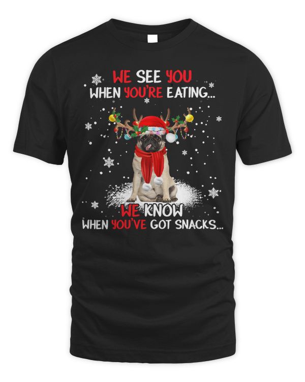 Pug Lover Santa Pug Reindeer Light Christmas Pajama 383 Pugs Dog