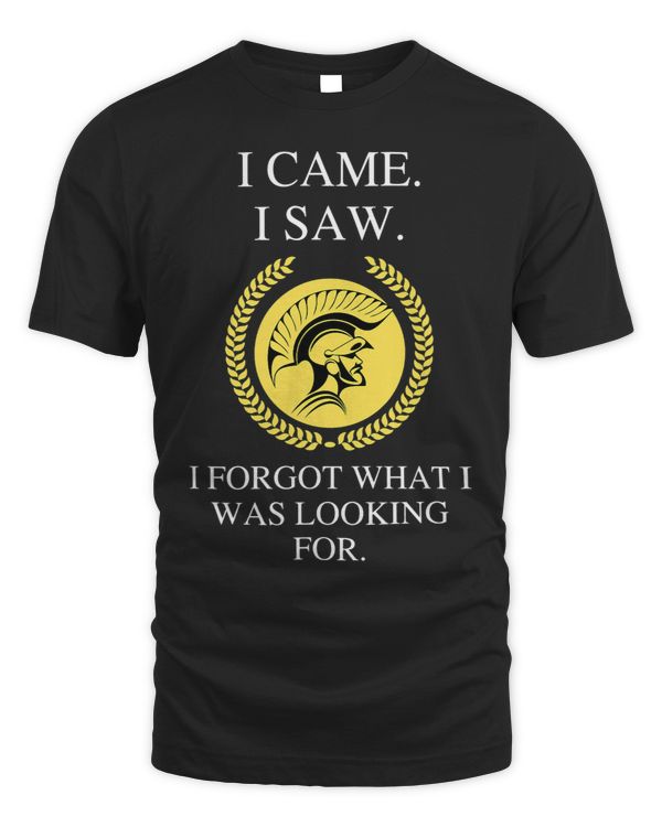 I Came I Saw I Forgot What I Was Looking For a Funny