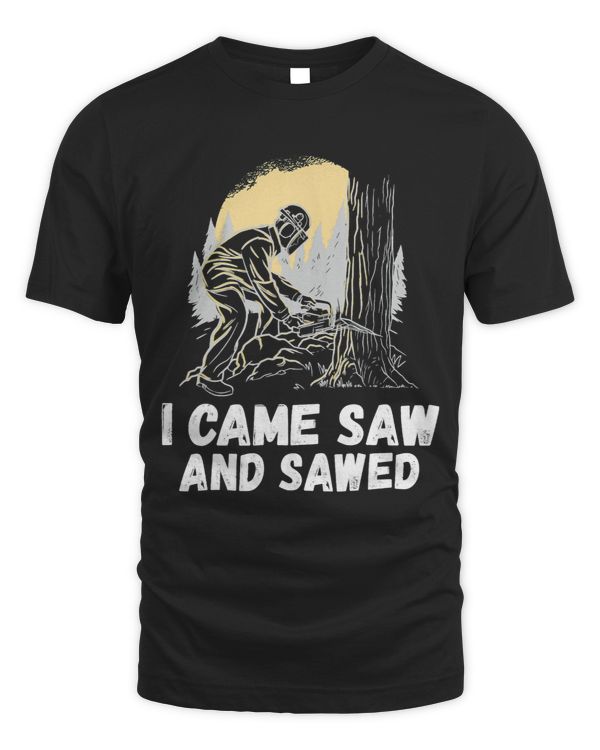 I came saw and sawed Handyman Woodwork Craftsman